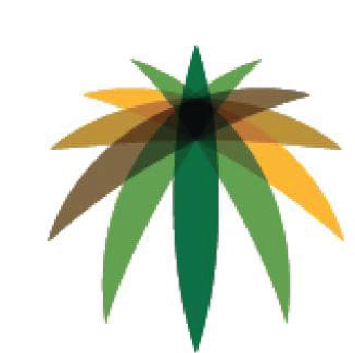 King Saud University